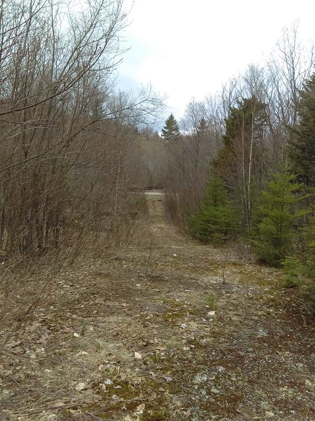 Lot 67 Hampshire Woods Loop, Errol, NH 03579 - photo 7