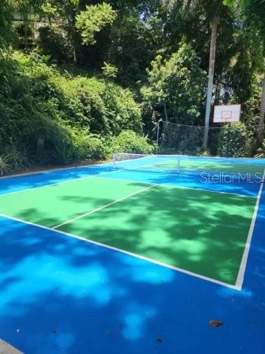 14 Tortugo St, Guaynabo, PR 00971 - photo 6