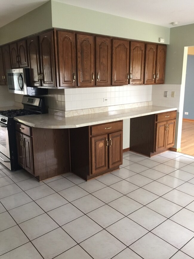 868 S Stratford Ave, Elmhurst, IL 60126 - photo 6