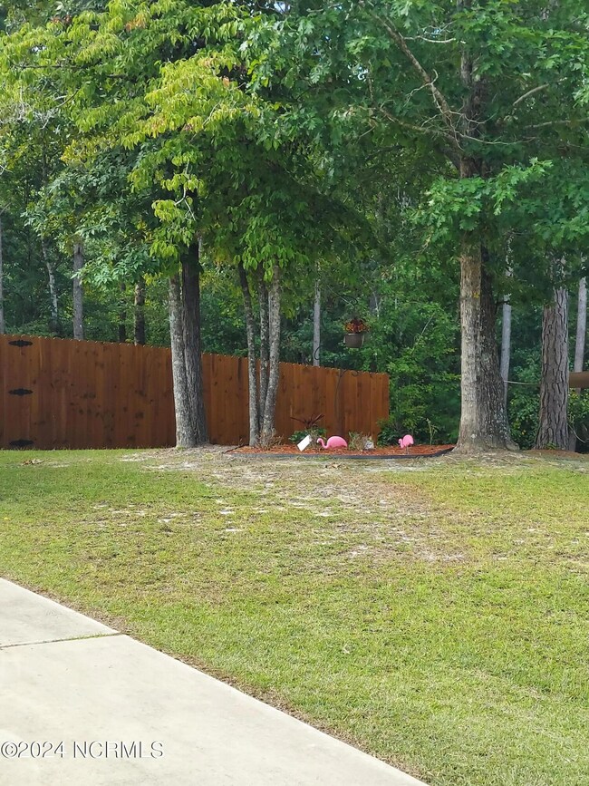 Sideyard right