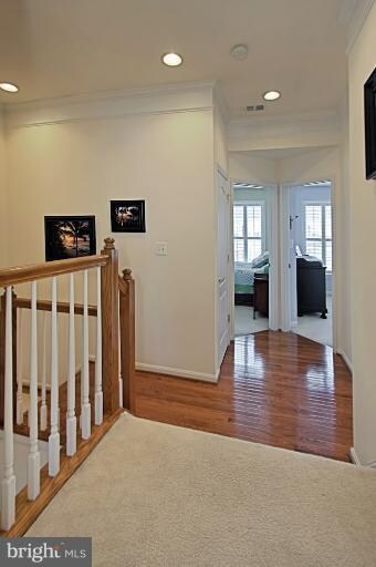 25120 Andes Terrace, Stone Ridge, VA 20105 - photo 5