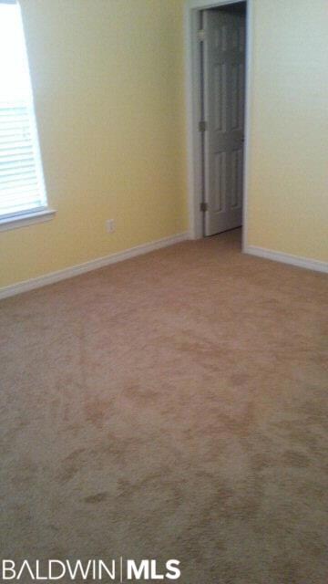 fresh paint new carpet