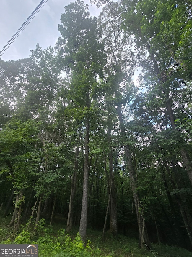 6147 Little Ridge Rd, Acworth, GA 30102 - photo 2