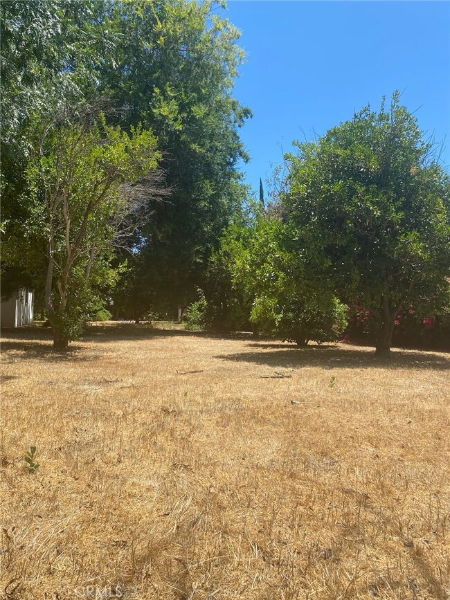 7110 Firmament Ave, Van Nuys, CA 91406 - photo 5