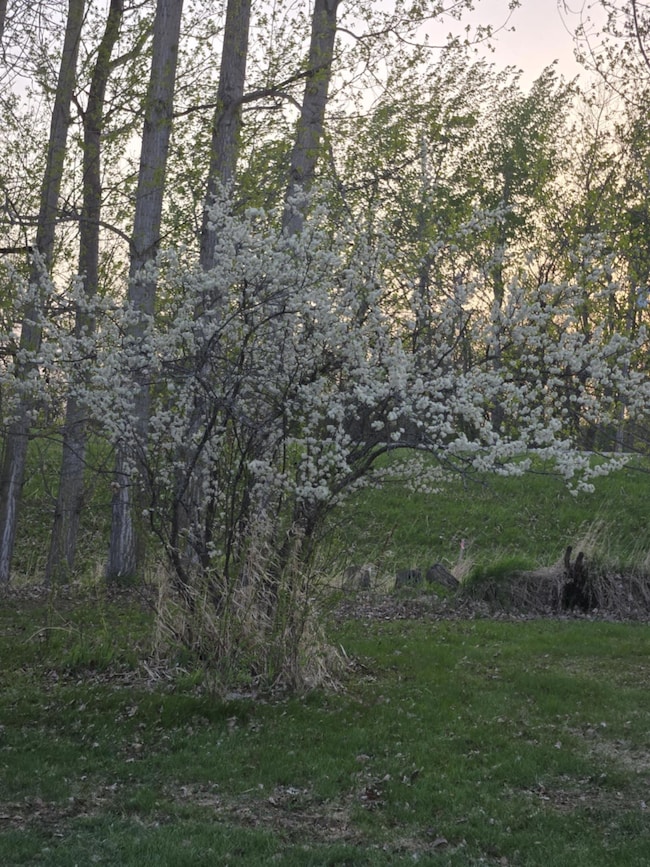 12916 250th Ave NE, Goodridge, MN 56725 - photo 3