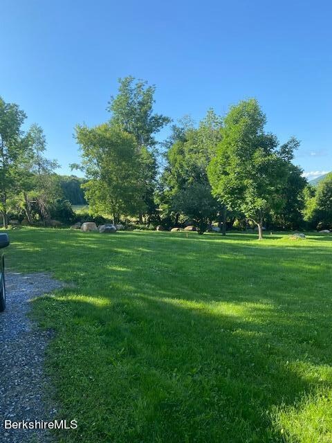Cleared with Parking Area and Trees