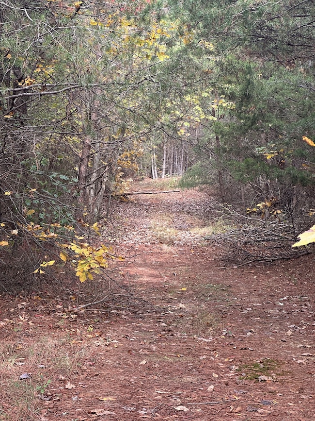 316 Arbor Rd, Linden, TN 37096 - photo 4