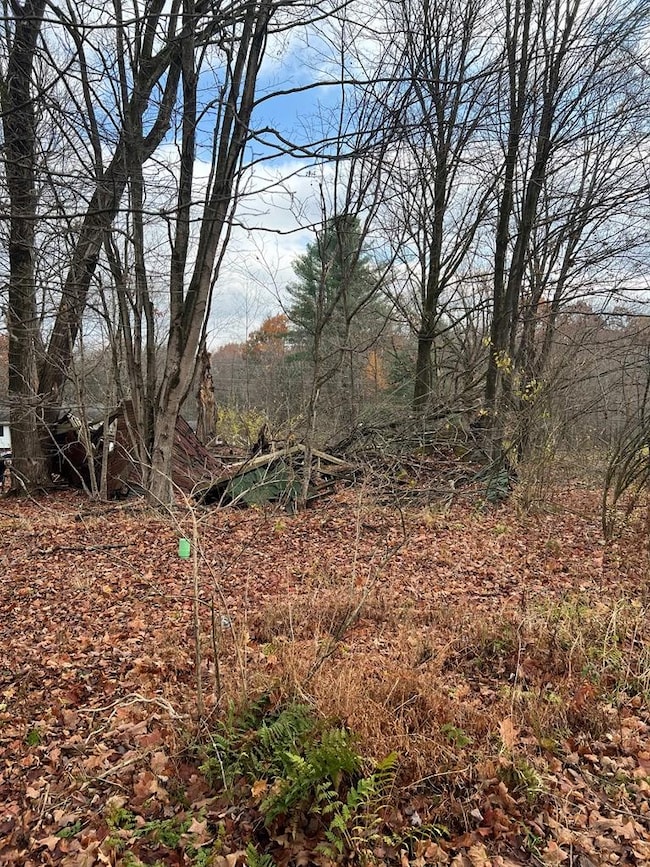 0 Big Bend Rd, Emlenton, PA 16373 - photo 4