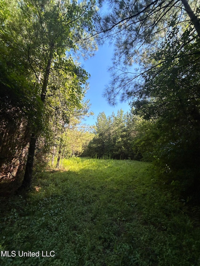 0 Mccullough Rd SE, Bogue Chitto, MS 39629 - photo 6