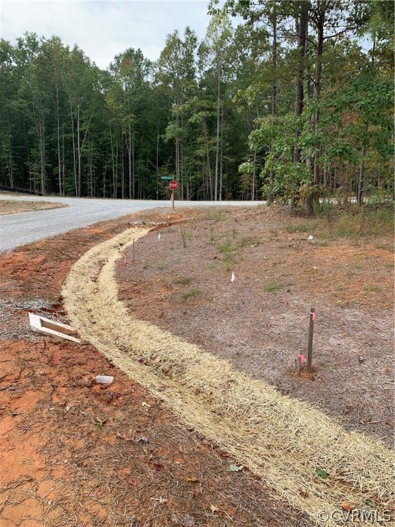 2410 Buhrstone Ct, Midlothian, VA 23113 - photo 6