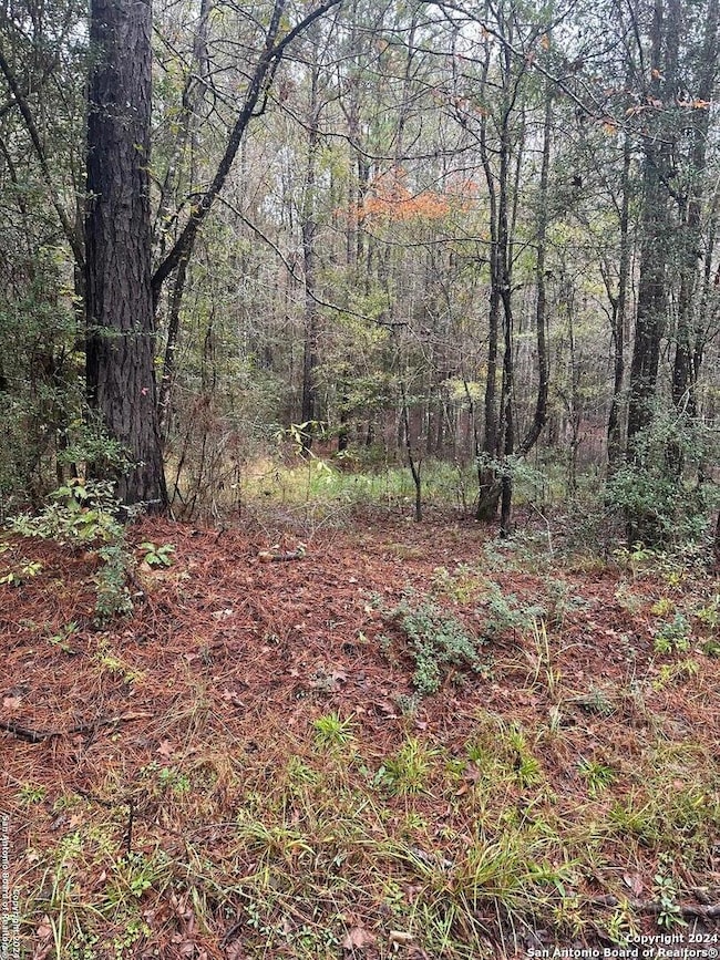 00 County Road 065, Jasper, TX 75951 - photo 3