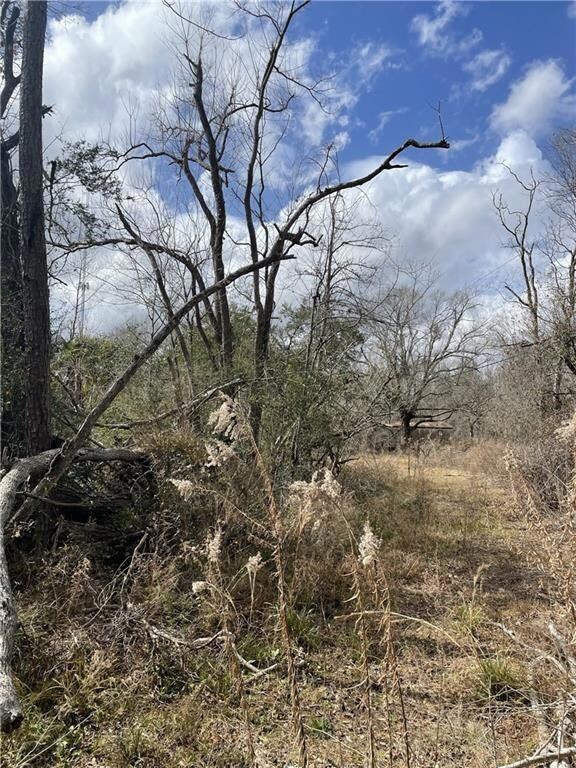 1779 Mitchell Rd, Vinton, LA 70668 - photo 5