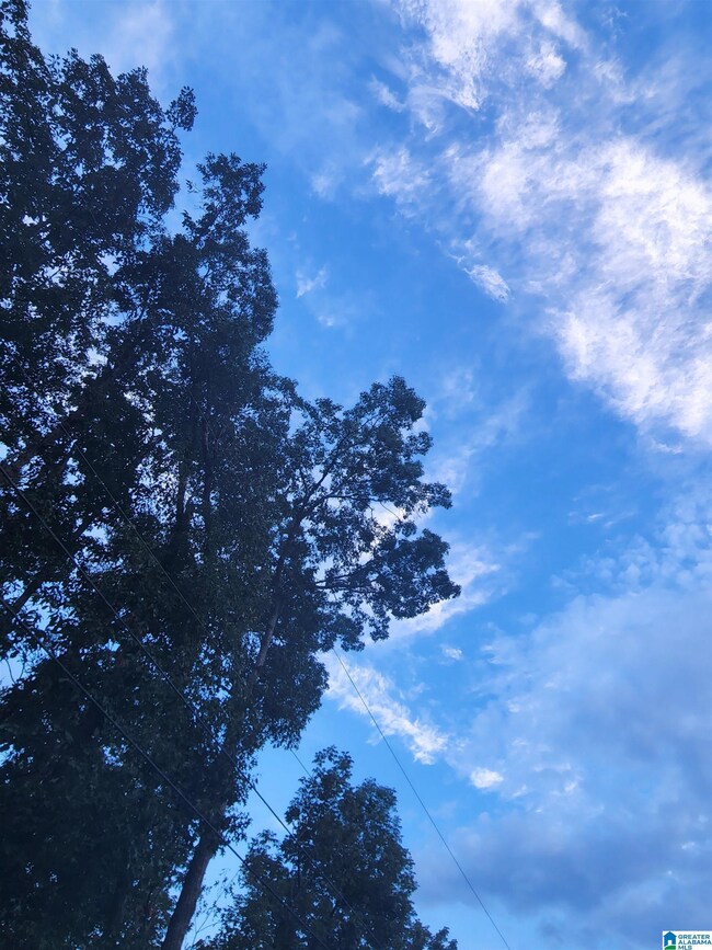 0 Woodhaven Dr unit 206 21378567, Pinson, AL 35126 - photo 6