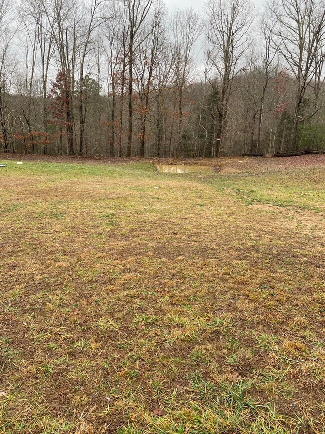 1036 Jesse Sears Rd, Somerset, KY 42501 - photo 6