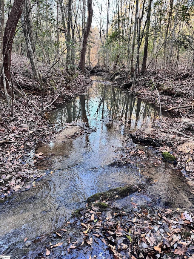 0 Eastview Rd, Pelzer, SC 29669 - photo 5