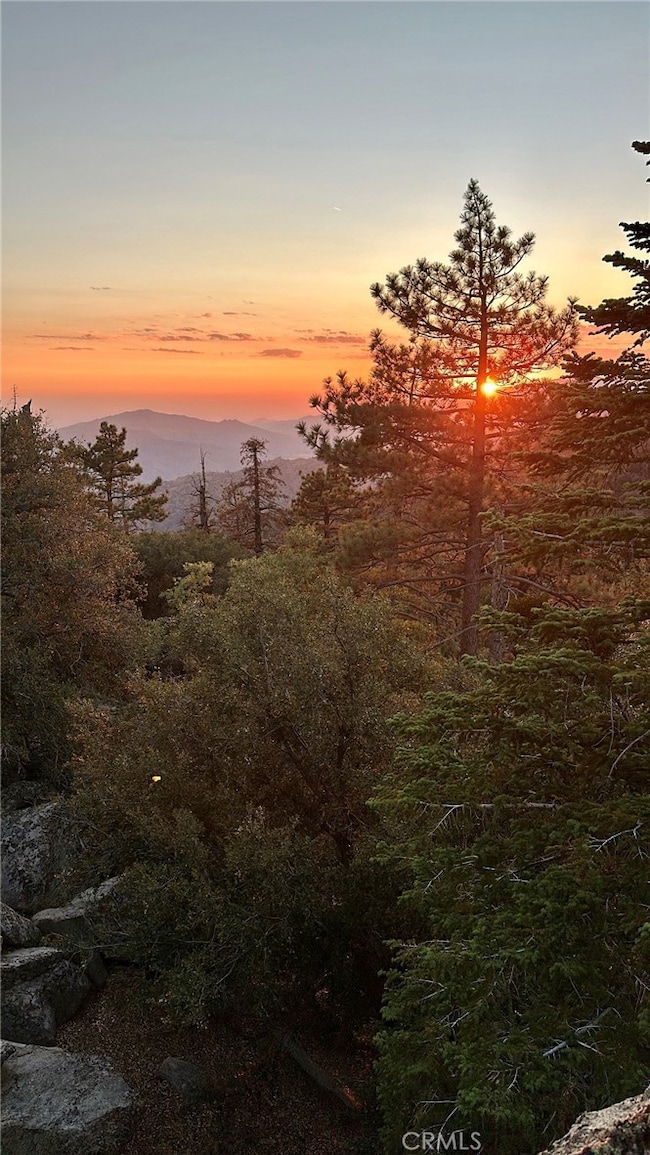 15331003 Mountain Meadow Rd, Caliente, CA 93518 - photo 3