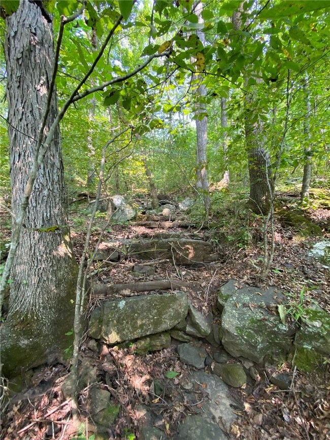 10AC Wild Turkey Rd, Winslow, AR 72959 - photo 6