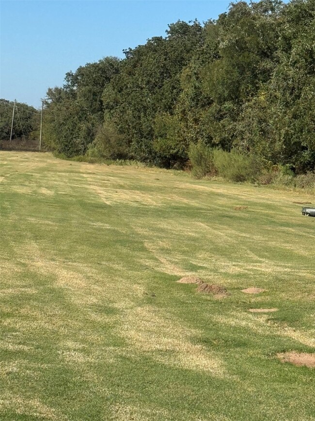 31008 Doe Run Ct, Whitney, TX 76692 - photo 4