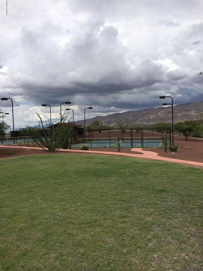 Community Grass Area
