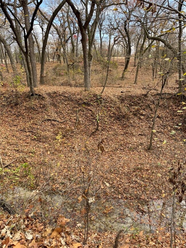 4028 Fall Creek Dr, Brock, TX 76087 - photo 7