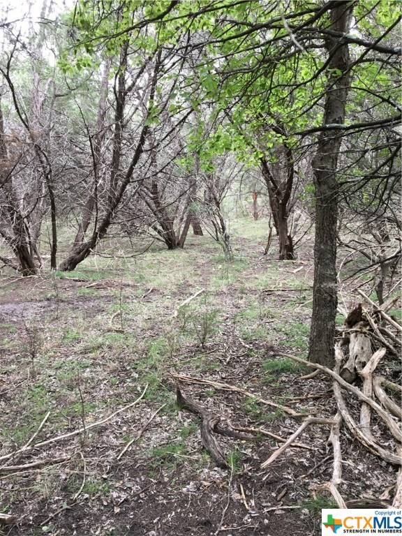 Interior of Lot