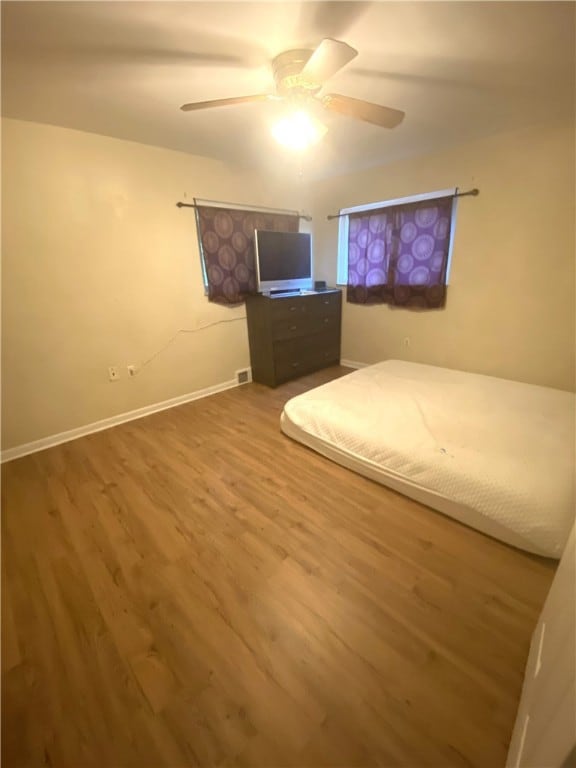Second Large Bedroom on Main Level