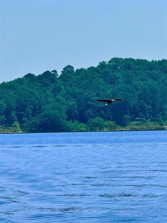 599 Timber Creek Trail, Broken Bow, OK 74728 - photo 6