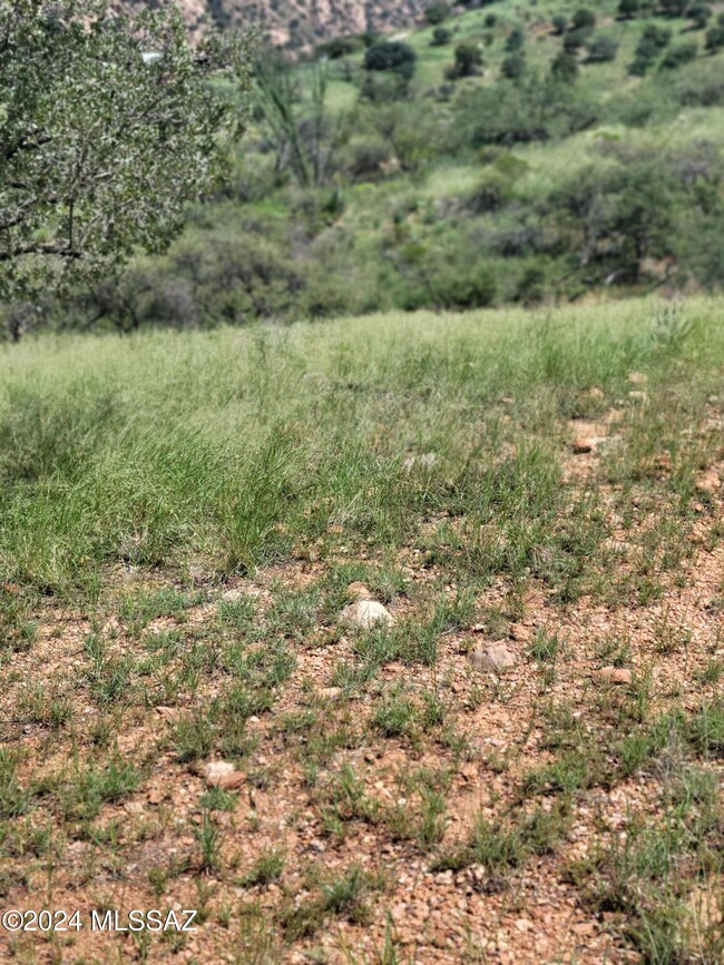 Hannon Ranch; Grass; Unk 2024;