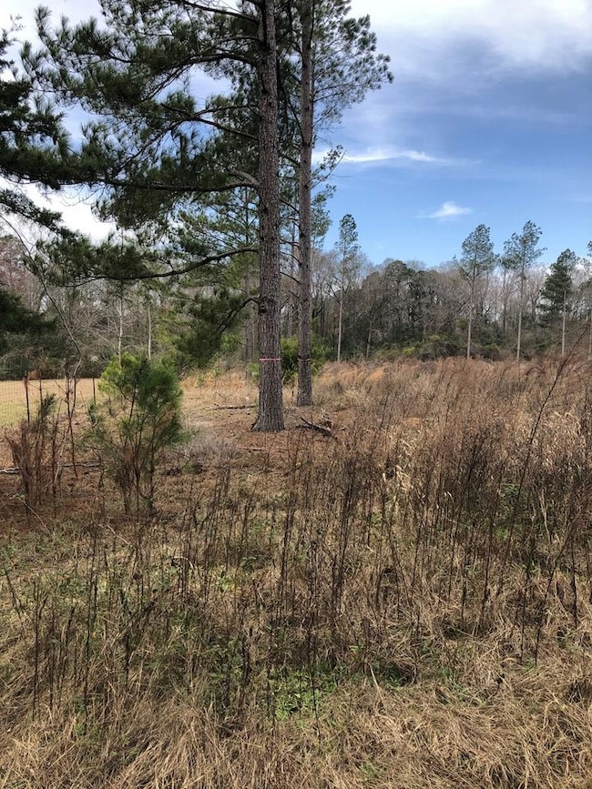 390 Lundy Rd, Sylvester, GA 31791 - photo 4