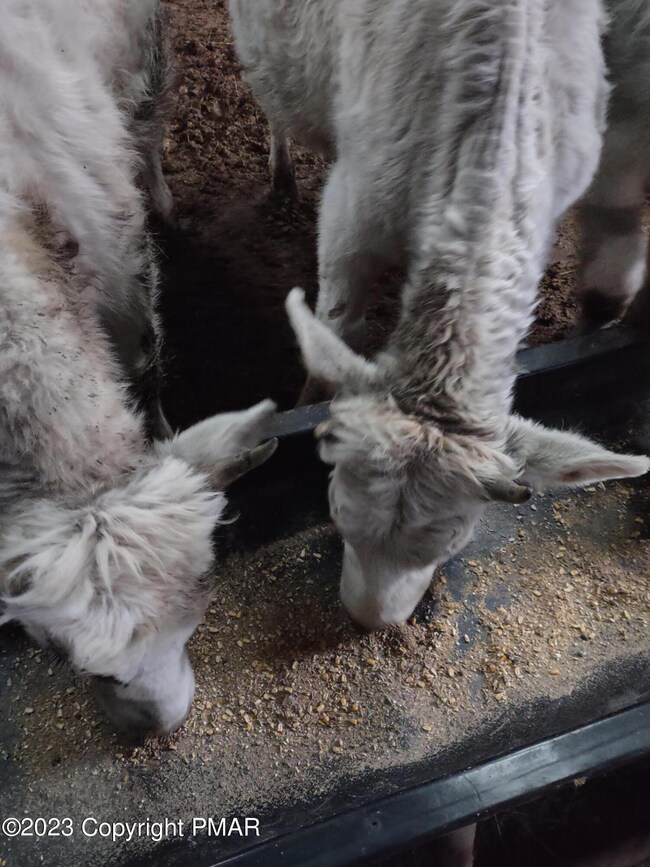 67 E Sterling Rd, Newfoundland, PA 18445 - photo 2