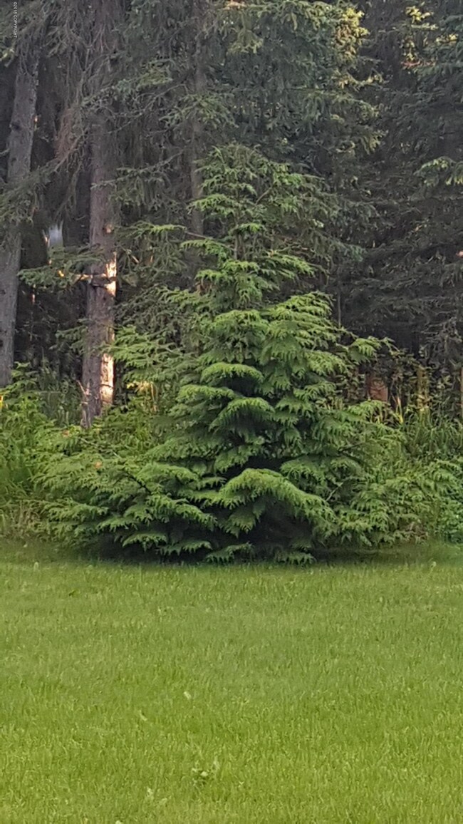 20180727_211646