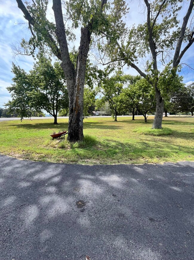7569 Batesville Blvd, Pleasant Plains, AR 72568 - photo 6