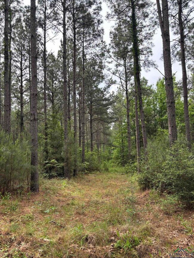View of landscape with a wooded view