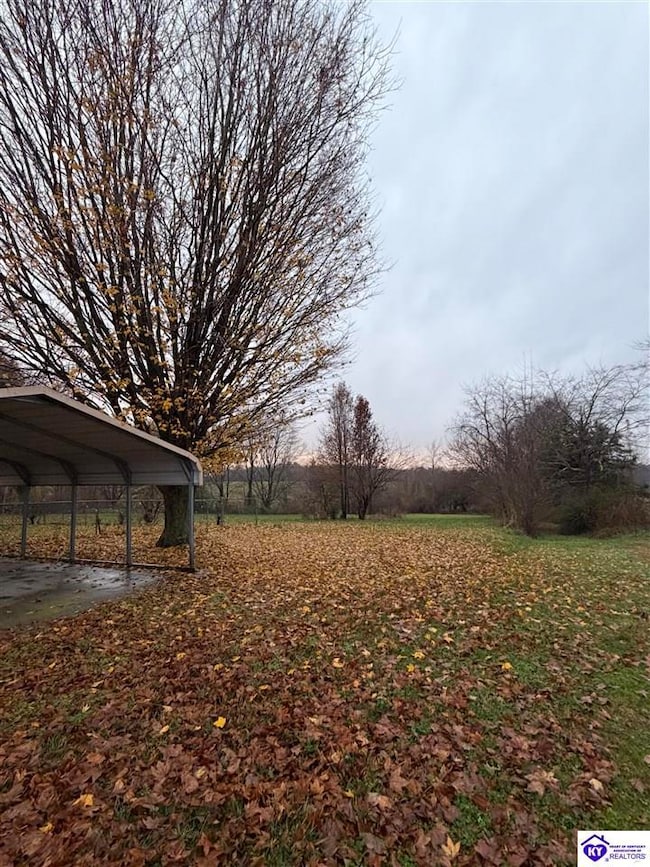 4259 N L and N Turnpike Rd, Hodgenville, KY 42748 - photo 5