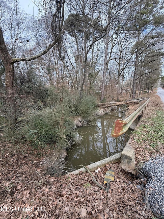 01 N Jordan St, Carthage, MS 39051 - photo 3