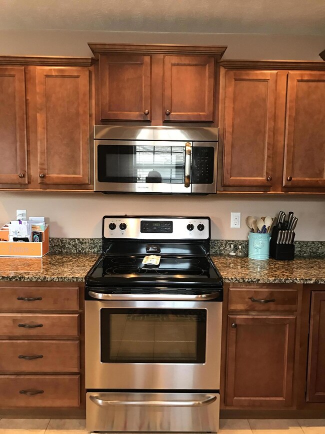 102 Thunder Ridge Ct, Branson, MO 65616 - photo 7