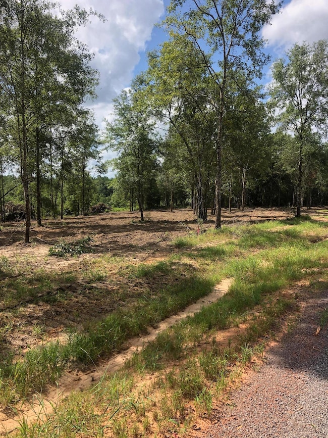 5.90ac Mill Creek Ln, Lucedale, MS 39452 - photo 4