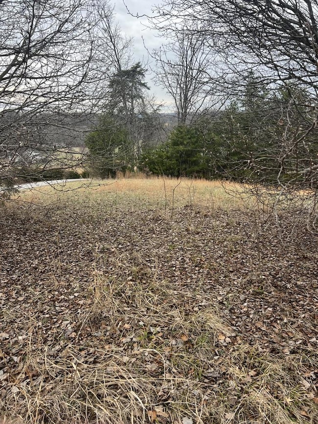 00 Twin Falls Ln, Byrdstown, TN 38549 - photo 5