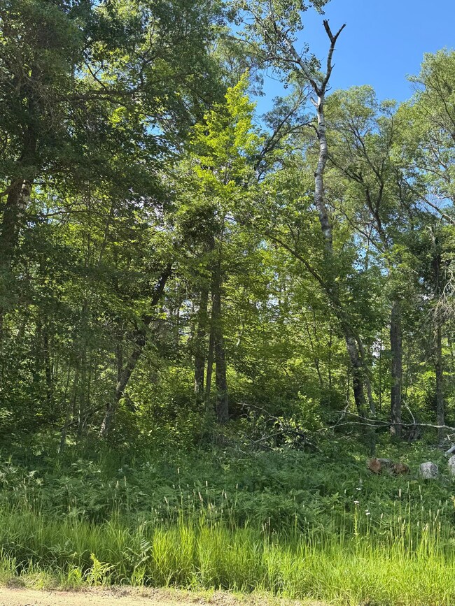 tbd Cedar St, Breezy Point, MN 56472 - photo 6