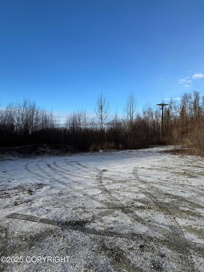 4284 S Burma Rd, Wasilla, AK 99654 - photo 4