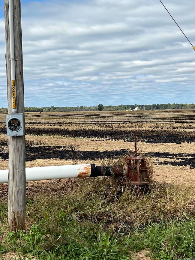 849 Cr 206, Peach Orchard, AR 72453 - photo 5