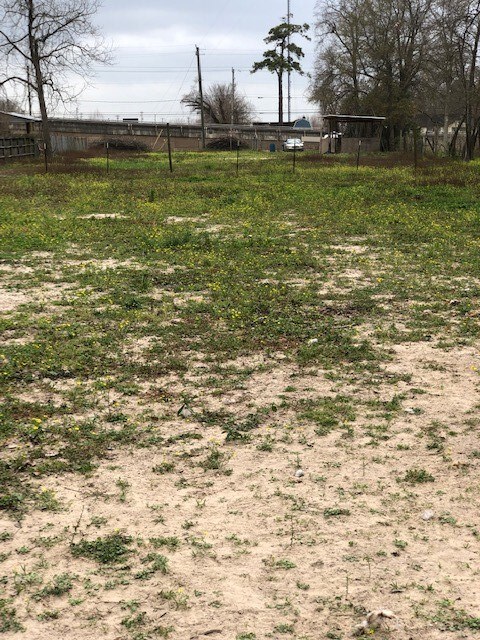 7617 Ley Rd Rd, Houston, TX 77028 - photo 5