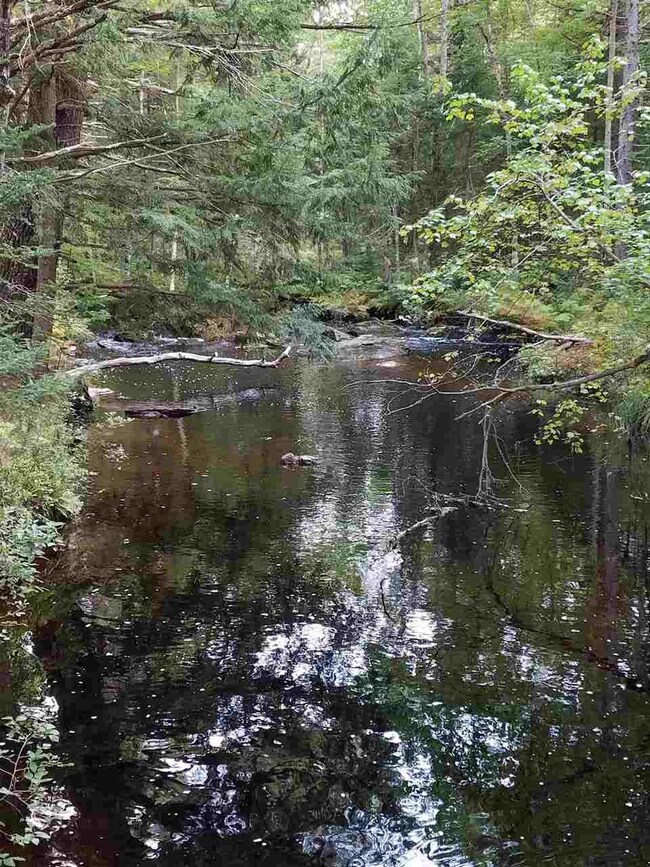Photo taken at Bridge on Tom berry Rd