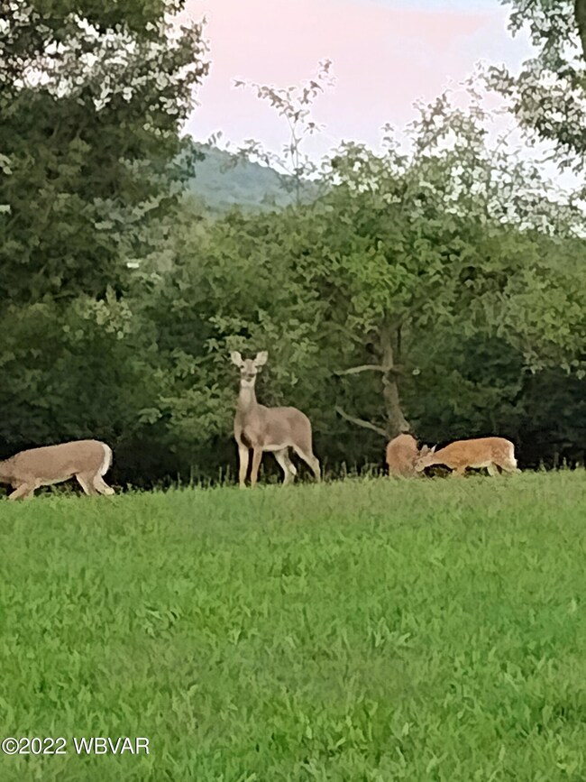 18 Eister Loop, Danville, PA 17821 - photo 7