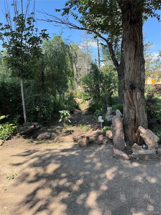 705 E Hills Rd, Colorado Springs, CO 80909 - photo 4