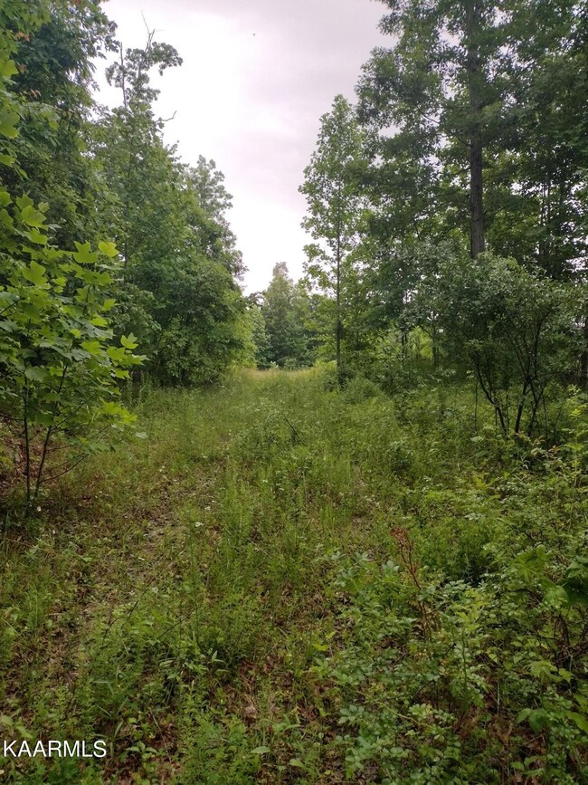 IMG_20220606_175934247_HDR