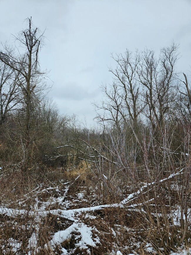 vacant land 2 Newburg Rd.