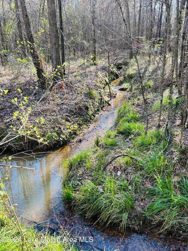 2.64+/- Acres Hwy 280, Sylacauga, AL 35150 - photo 6