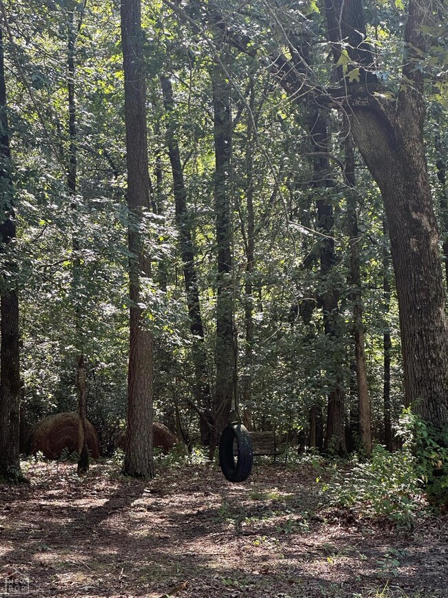 727 Greene 719 Rd, Paragould, AR 72450 - photo 3