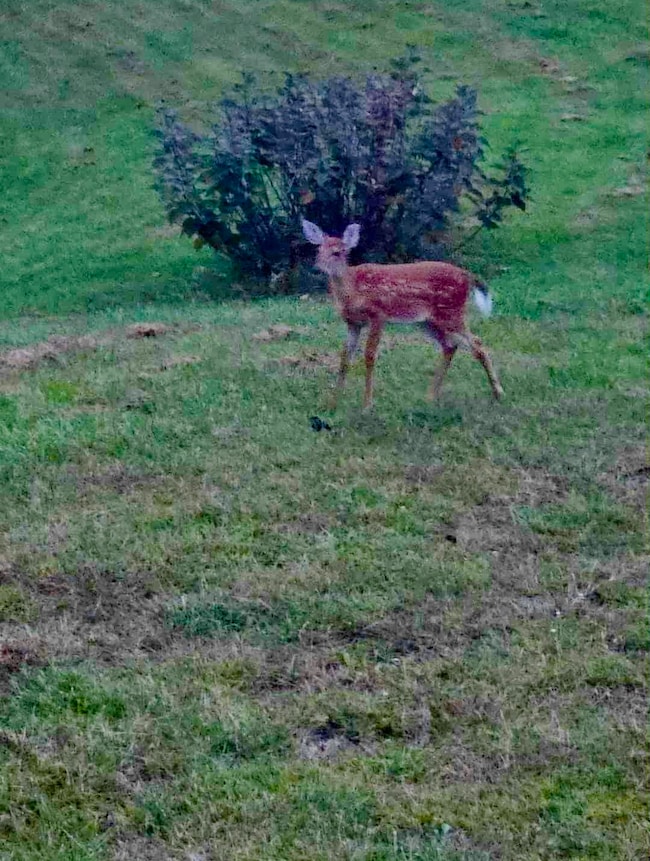 att.NtoJrobzCkTKb-A4SGQ8KWTKAYmfWA50KyJf